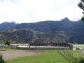 DSC03878