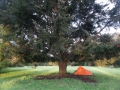 Camping in contao