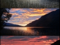 Lago blanco pumalin photo grid