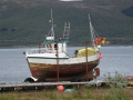 DSC09367