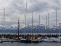DSC09369