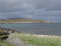 DSC09519