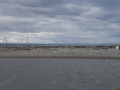 DSC05679