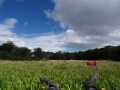 DSC04803