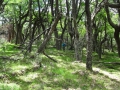 DSC05091