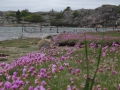 DSC08262.JPG