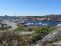 DSC08265.JPG