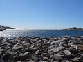 DSC08266.JPG