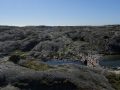 DSC08284.JPG
