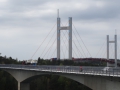 DSC08306.JPG