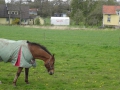 DSC08315.JPG