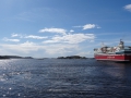 DSC08354.JPG