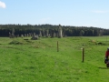 DSC08364.JPG