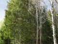 DSC08372.JPG