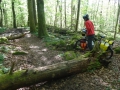 DSC08399.JPG
