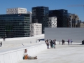 DSC08432.JPG