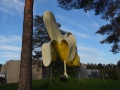 DSC08436.JPG