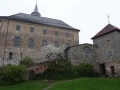 DSC08441.JPG