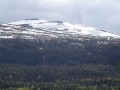 DSC08511.JPG