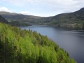 DSC08512.JPG