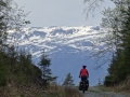 DSC08518.JPG