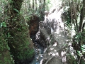 10 little canyon