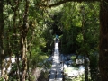 12 bridge over rio cochamo