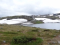 wpid-dsc00616