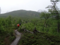 DSC05373