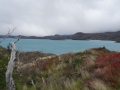 DSC05508