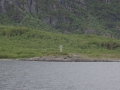 DSC09059